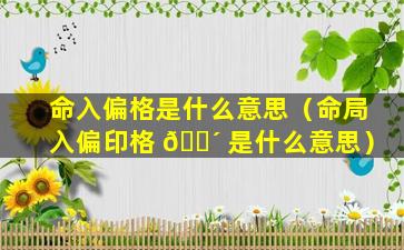 命入偏格是什么意思（命局入偏印格 🌴 是什么意思）